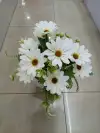وزهور (ليري) الأصلية (7 مقابل 10 رؤوس Item Picture